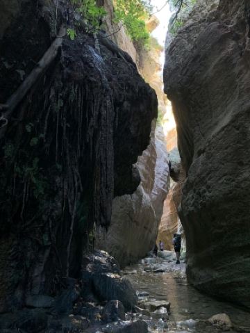 阿瓦卡斯峽谷的壯麗懸崖與風景步道