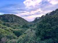 Zealandia Te Mara a Tane A Hidden Haven for Wildlife and Wonder