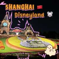 [🇨🇳 Shanghai]🐭🌸Disneyland – Magic After Dark
