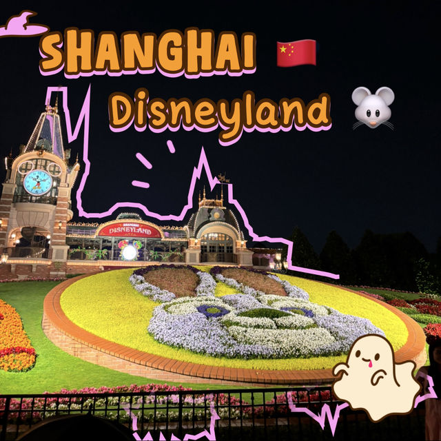 [🇨🇳 Shanghai]🐭🌸Disneyland – Magic After Dark