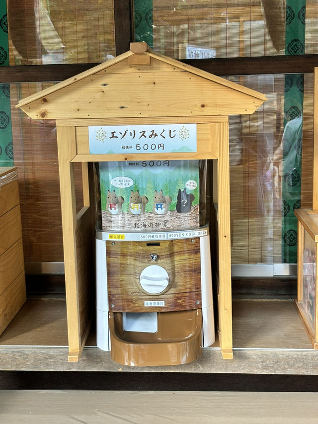 日本北海道參拜必去—北海道神宮⛩️