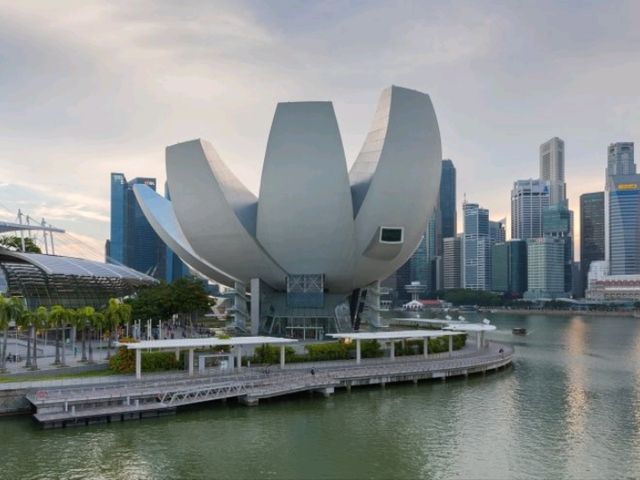 Singapore's Must-See: Dive into Digital Magic at ArtScience Museum! 🖼️💡