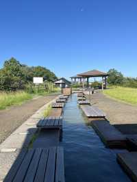 🚢 【1時間半で完結!朝イチ🌋桜島プラン】