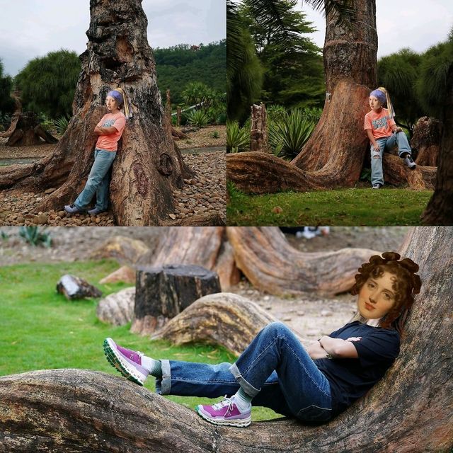 🌴🌺國家4A級旅遊景區推介🌻🪻