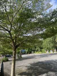 วัดพระทอง (วัดพระผุด) จังหวัด