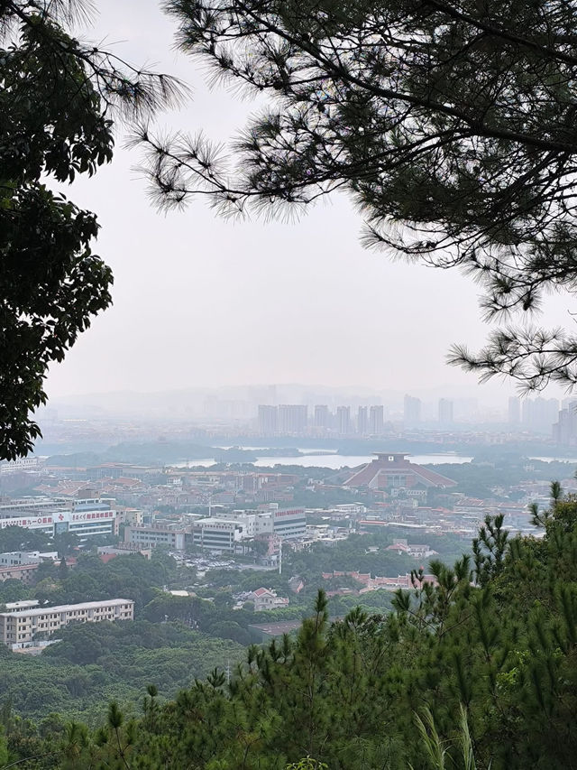 中國泉州 洛陽古街 古橋 弘一大師 老子石雕像 中國泉州 洛陽古街 古橋 弘一大師 老子石雕像