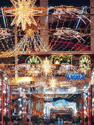 🔥 Shanghai’s Christmas Starry Fairyland: 🎄10K+ Visitors To Flood This Weekend! 