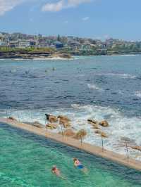 🇦🇺시드니에서 꼭 가봐야 할 로컬 감성 해변, 브론테 비치 Bronte Beach🇦🇺