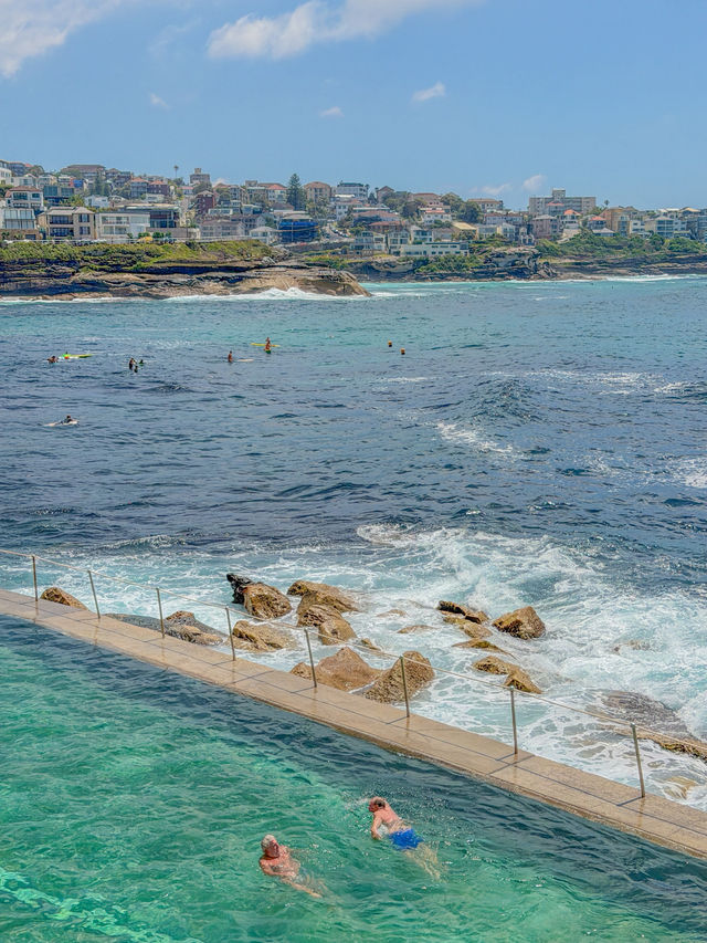 🇦🇺시드니에서 꼭 가봐야 할 로컬 감성 해변, 브론테 비치 Bronte Beach🇦🇺