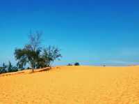 越南🇻🇳紅沙丘