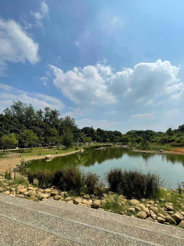 大湳森林公園 大湳森林公園