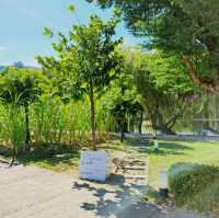 🏭 台中｜帝國糖廠×與舊城市的對話時光