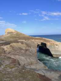 新西蘭隱世美景🌊神秘隧道海灘Tunnel Beach荒野打卡攻略