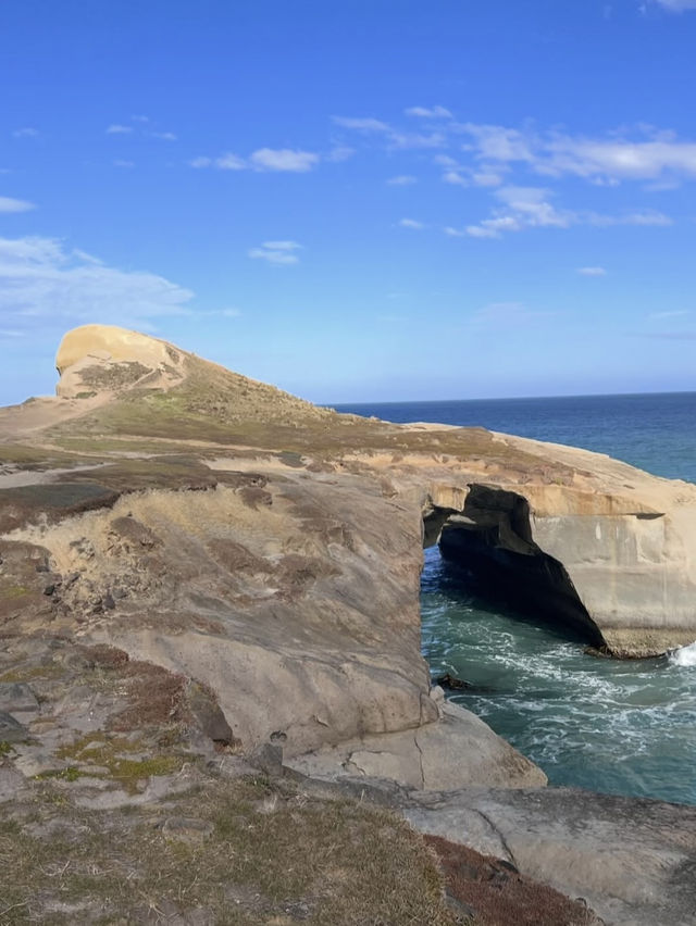 新西蘭隱世美景🌊神秘隧道海灘Tunnel Beach荒野打卡攻略