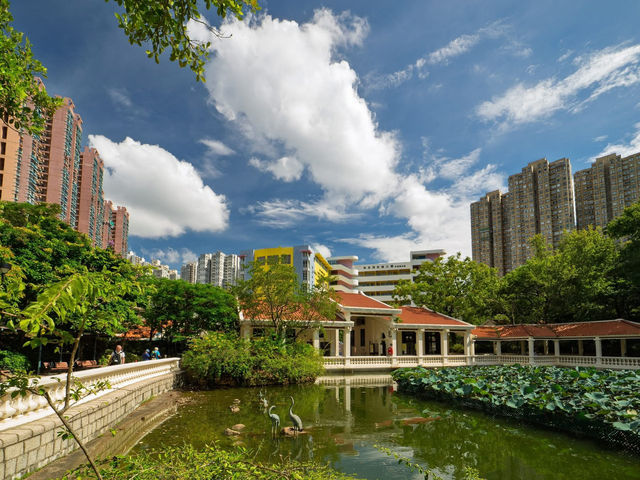 Where Concrete Blossoms: The Dual Heart of Tsing Yi Where Concrete Blossoms: The Dual Heart of Tsing Yi