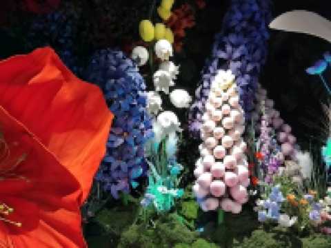 พื้นที่การจัดโซนดอกไม้ที่ NEXTOPIA สยามพารากอน