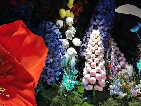 พื้นที่การจัดโซนดอกไม้ที่ NEXTOPIA สยามพารากอน พื้นที่การจัดโซนดอกไม้ที่ NEXTOPIA สยามพารากอน