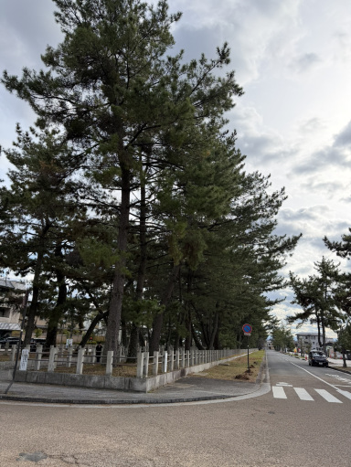 日本🇯🇵奈良市【法隆寺】日本初世界文化遺産 | Trip.com 斑鳩町