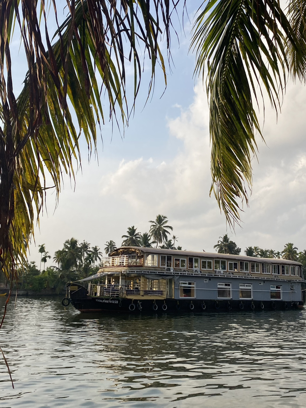 Ernakulam, Kochi, Kerala - Nature Bliss in Kerala 🌿 - 圖 7