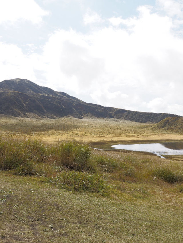 大自然満喫!春から秋にオススメの阿蘇の絶景スポット