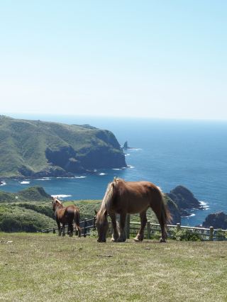 Oki Islands UNESCO Global Geopark.