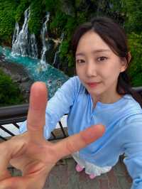 여름 삿포로의 색을 담다, 가족과 함께한 비에이 투어 ✈️