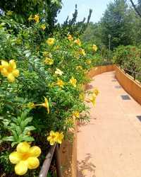 🌿✨ My Stroll at Bukit Batok Neighbourhood Park — A Peaceful West Side Escape! 🇸🇬