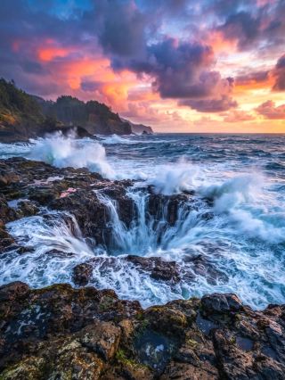 美國雷神之井瀑布(Thor’s Well)係位於美國俄勒岡州海岸線旁邊嘅一個壯觀自然景點,呢個直徑約4至5公尺嘅海蝕洞,隨住潮水流動,彷彿天神開咗一個水井落大海,場面震撼又迷人,被譽為「大自然最神奇的奇觀」之一。唔少攝影愛好者同探險迷都特登嚟打卡,親身感受海浪呼嘯穿越洞口時帶來嘅澎湃氣氛。

行程路線及遊玩建議:  
首先建議由俄勒岡州Highway 101沿海公路前往Cape Perpetua景區,雷神之井瀑布就位於Yachats南方不遠處。由停車場出發,跟住小路步行幾分鐘就到,沿路有清晰標示。最佳欣賞時間係漲潮或狂風大浪時,瀑布最壯觀,但都要格外小心腳下濕滑同海浪突襲。

必去打卡位:  
推薦站喺雷神之井附近觀景台或者小徑旁邊,低角度拍出「水柱衝天」嘅壯麗畫面;黃昏及黎明陽光斜照,更容易影到震撼對比。唔少攝影師會用慢快門效果捕捉動感。

景點貼士:  
1. 觀賞期間必須注意安全,尤其漲潮同大風大浪時,唔好太近海蝕洞邊緣,有時大浪會突然湧至。
2. 建議著防滑鞋淨係帶少量隨身物品。
3. 最好係日落前後到訪,景色最靚而且光線柔和。
4. 夏季人流較多,清晨比較清靜。
5. 雖然附近冇商店,建議預先準備足夠糧水。

注意事項:  
俄勒岡海岸天氣善變,請留意實時天氣預報同潮汐時間。建議同伴同行,唔好獨自行近海邊。現場冇柵欄或安全設施,小朋友要特別照顧。

話題
#雷神之井瀑布  #美國自然景點  #俄勒岡州旅行  #攝影打卡  #美西自駕遊 