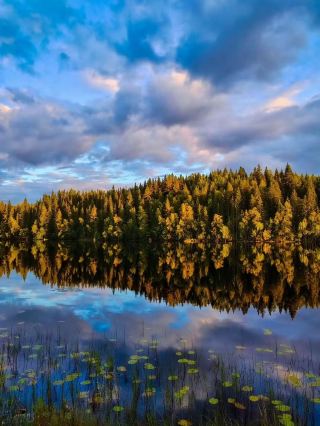 🍂 Autumn in Finland — Where the Forest Meets the Sky