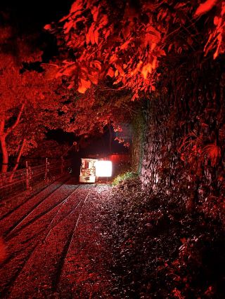 A World Heritage Site is transformed into art... Sado Gold Mine x Mika Ninagawa