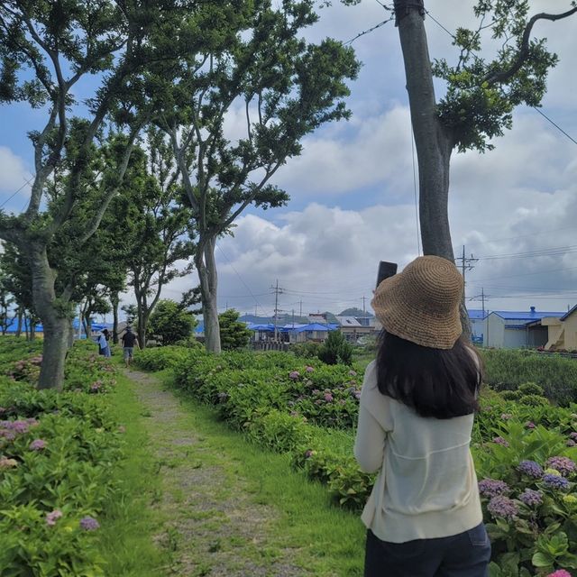 환상의 정원 팽나무십리길