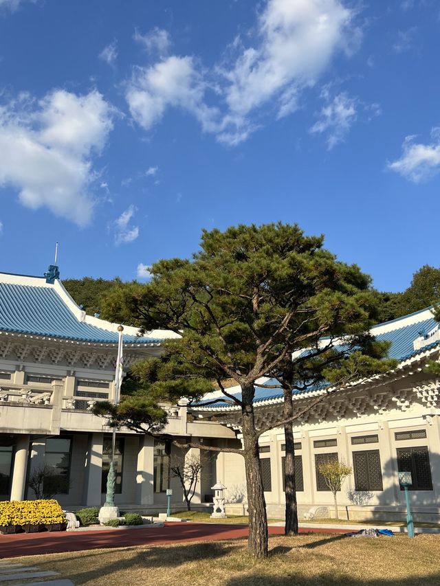 [국내여행 경남 합천 갈만한 곳] 합천영상테마파크