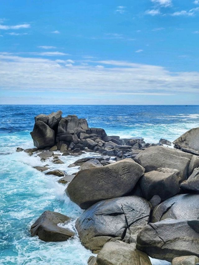 양양의 푸른 바다가 한눈에 펼쳐지는 곳💙