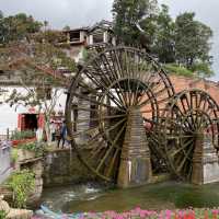 Lovely Lijiang!