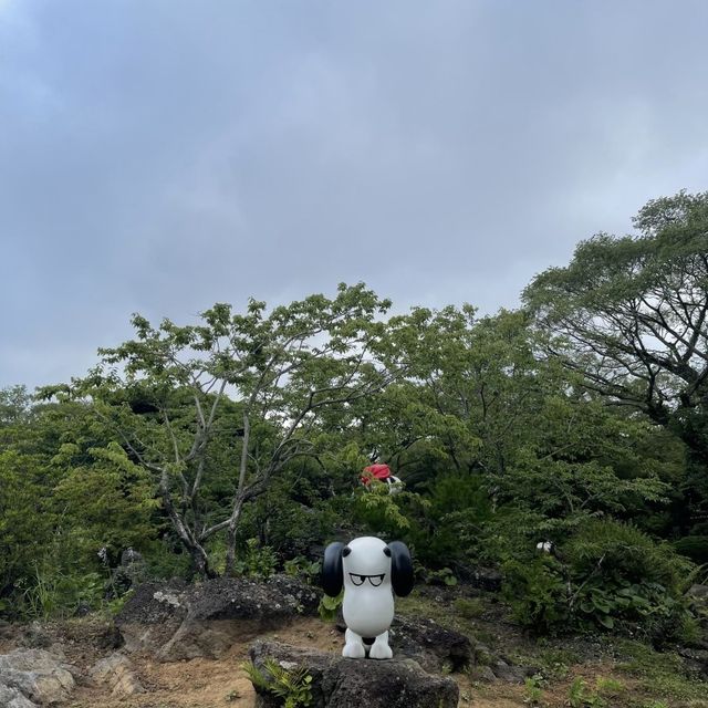 제주도 스누피 가든 탐방기🫠