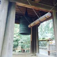 【神奈川県🇯🇵報国寺】竹林が有名な報国寺☺️マイナスイオンに癒されながらお抹茶で小休憩🍵