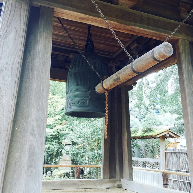 【神奈川県🇯🇵報国寺】竹林が有名な報国寺☺️マイナスイオンに癒されながらお抹茶で小休憩🍵