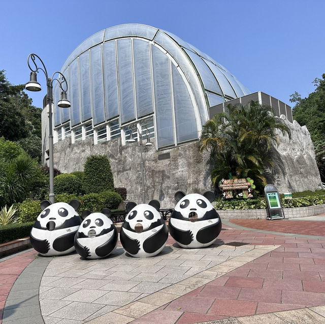 自然與寧靜的邂逅——澳門石排灣郊野公園遊記