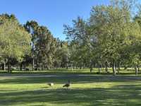位於市區內佔地面積及大的自然公園