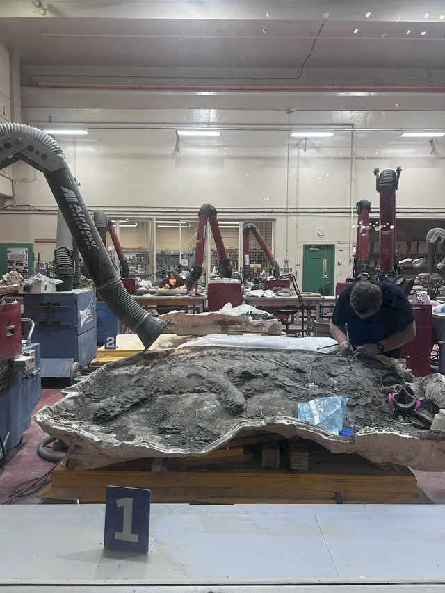 🦕恐竜の聖地！カナダ🇨🇦【ロイヤル・ティレル博物館】
