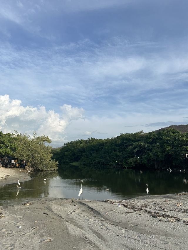 コロンビア最古の街📜🇨🇴【サンタマルタ】