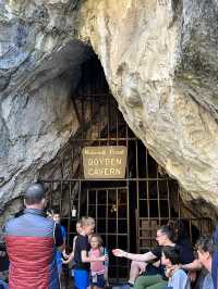 Sequoia Trip