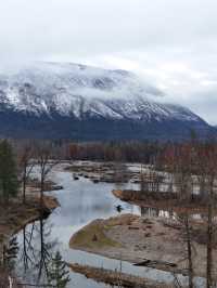 ชมวิถีชีวิตปลาแซลมอนว่านทวนน้ำ 