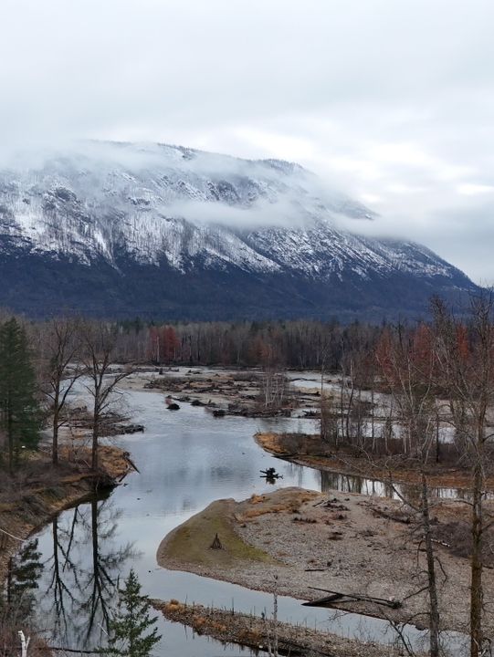 ชมวิถีชีวิตปลาแซลมอนว่านทวนน้ำ 