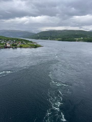 Cruised from dreamy Lofoten to Bodø? You’re already winning at life.☀️ The real stars? Scenic ferry views, the surreal midnight sun, and a buffet that will blow your mind—plus Norway’s wild, churning Saltstraumen. Here’s how to max out your trip vibes:

Top Things to Do in Bodø:

🍫 Savor “chocolate milk” on your ferry crossing from Lofoten—yes, it’s a thing! Pack your favorite brand (or grab a local carton) for the smoothest, most nostalgic journey.

🍣 Feast at Tiger Sushi Bar — Sandgata 5B, 8006 Bodø. Seriously, the sushi buffet here is a local legend. Go for the all-you-can-eat sashimi, and don’t miss their tempura (hot tip: reserve in advance because this spot gets busy, especially on weekends).

🌊 Witness the insane Saltstraumen tidal current. It’s one of the strongest in the world! Hop a local bus or join a rib boat tour for an adrenaline rush. Go an hour before peak tide for epic whirlpools—check tide tables.

🌞 Midnight Sun. Summer in Bodø means it never gets dark. Head up to Nyholmen Fort for golden hour that just… never ends. Pack layers—Norwegian weather is moody, even at midnight!

Getting Around: The city’s compact—walk almost everywhere, or use the local bus for Saltstraumen. Ferries connect you to Lofoten or nearby islands (check schedules on trip.com for those sweet island detours).

Cash or Card? Norway is almost cashless. Just tap to pay everywhere.

Key tip: If you’re craving snacks or picnic supplies, hit Coop Prix supermarkets (open late!).

#BodoEats #NorwayMidnightSun #TigerSushi #TravelSnackHack #FjordDreams 