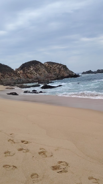 Paradise mayto. 