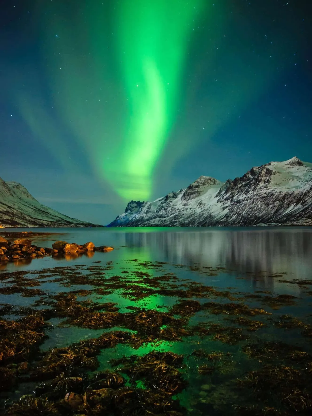 🇳🇴✨【挪威峽灣極光之旅】解鎖世界盡頭的冰川奇景與極地浪漫！！超實用高質懶人旅遊攻略 🏔️🌊🌌