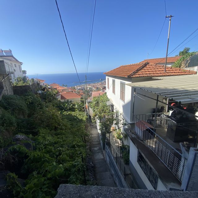 Funchal’s Variety and Food, Do you need more?