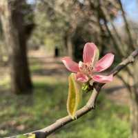 Nature lover, don’t miss this!