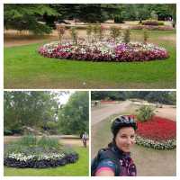 🌹🌳🌼🏴󠁧󠁢󠁥󠁮󠁧󠁿 Greenwich Park Rose Garden 